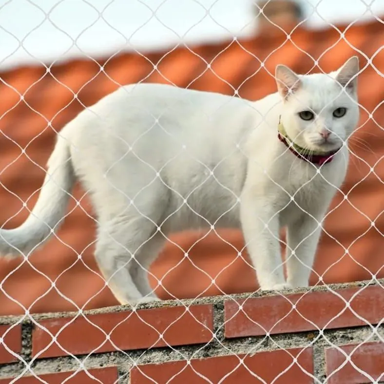 Gato blanco al otro lado de la red de protección instalada en un balcón